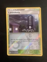 Lavandonia