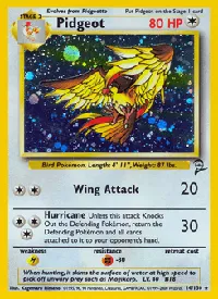 Pidgeot 14