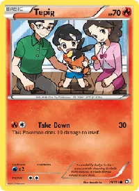 Tepig 25