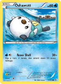 Oshawott 37
