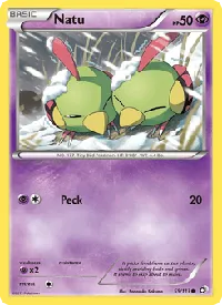 Natu 55