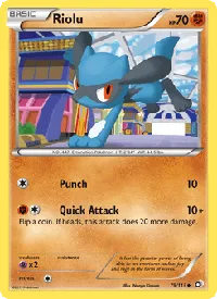 Riolu 79