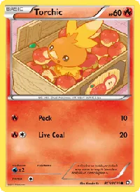 Torchic RC5