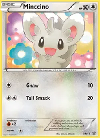 Minccino BW13