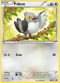 Pidove BW15