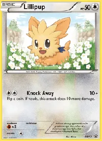 Lillipup BW52