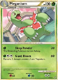 Meganium 27