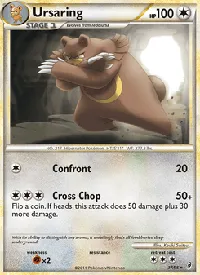 Ursaring 37