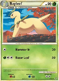 Bayleef 40