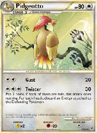 Pidgeotto 48