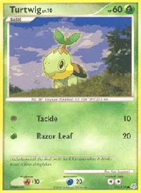 Turtwig 103