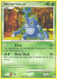 Heracross 28