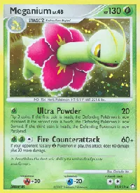 Meganium 13