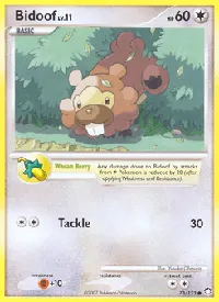 Bidoof 73