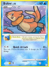 Buizel 75