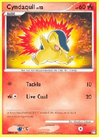 Cyndaquil 79