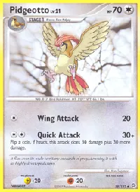 Pidgeotto 58