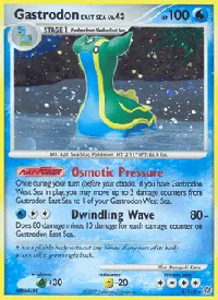 Gastrodon East Sea 8