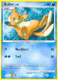 Buizel 61