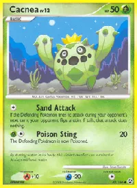 Cacnea 62