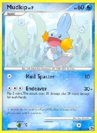 Mudkip 80