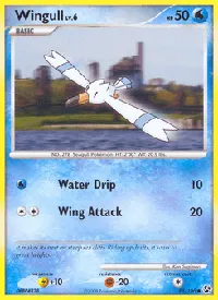 Wingull 95