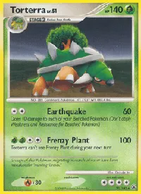 Torterra 30
