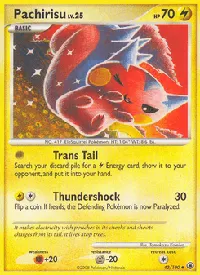 Pachirisu 43