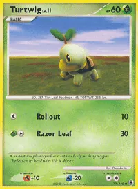 Turtwig 77