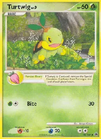 Turtwig 78