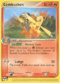 Combusken 28