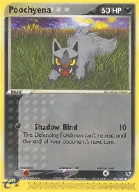 Poochyena 65