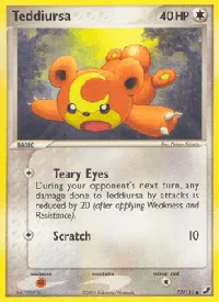 Teddiursa 77