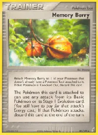 Memory Berry 80