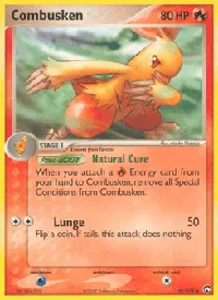 Combusken 29