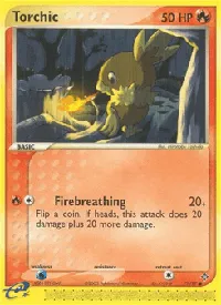 Torchic 77
