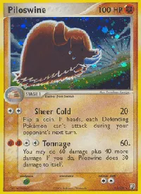 Piloswine 13