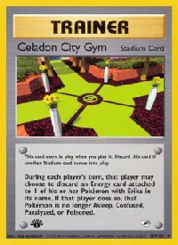Celadon City Gym 107