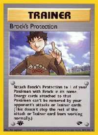 Brock's Protection 101