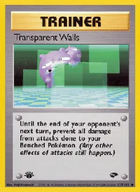 Transparent Walls 125
