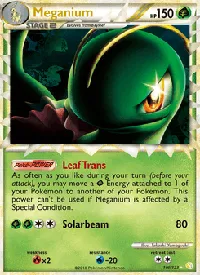 Meganium 109
