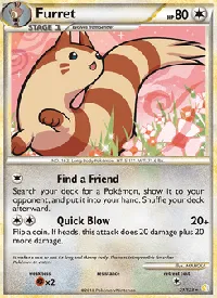 Furret 21