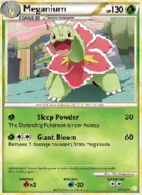 Meganium 26