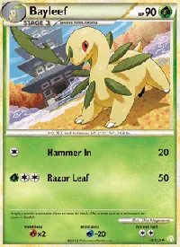 Bayleef 35