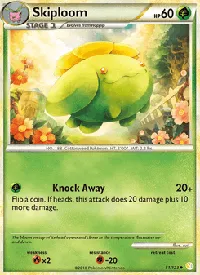 Skiploom 51