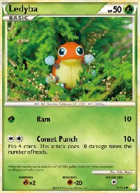 Ledyba 71
