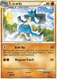 Lucario 19