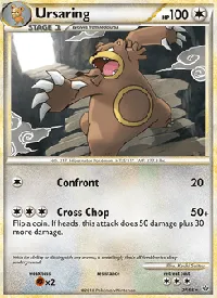 Ursaring 27