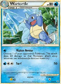 Wartortle 42