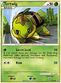 Turtwig 67
